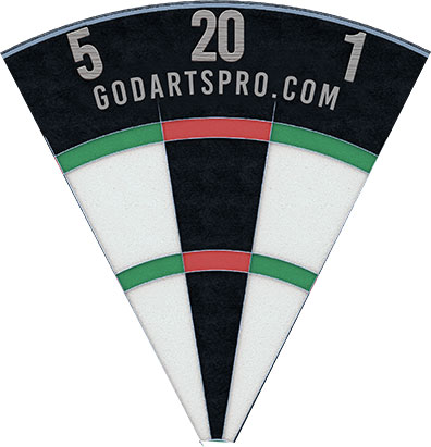 Dartboard-section GoDartsPro