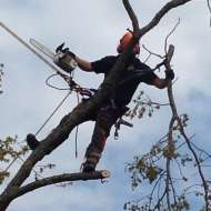 Lumberjack